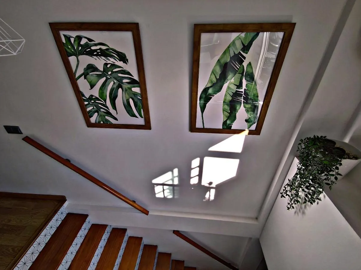 Javi S Home Trinidad Malaga